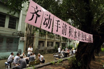 Situasi China yang Dilanda Wabah Chikungunya, Kasusnya Tembus 7 Ribu