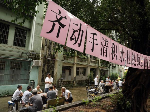 Situasi China yang Dilanda Wabah Chikungunya, Kasusnya Tembus 7 Ribu