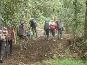 Dear Pendaki Gunung, ke Puncak Kerinci Sudah Bisa Lewat Jalur Solok Selatan Dear Pendaki Gunung, ke Puncak Kerinci Sudah Bisa Lewat Jalur Solok Selatan