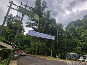 Menepi dari Sinyal, Menyambung Canda di Pinggir Hutan Menepi dari Sinyal, Menyambung Canda di Pinggir Hutan