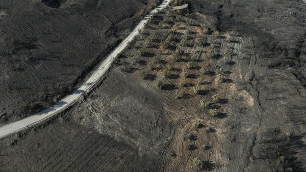 Kebakaran Hutan di Keratea Dekat Athena, Lahan Luas Hangus