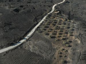 Kebakaran Hutan di Keratea Dekat Athena, Lahan Luas Hangus Kebakaran Hutan di Keratea Dekat Athena, Lahan Luas Hangus