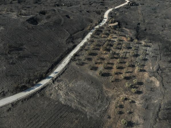 Kebakaran Hutan di Keratea Dekat Athena, Lahan Luas Hangus