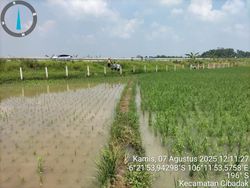 Lahan Persawahan di Lebak Kebanjiran, Saluran Air Tol Serpan Dinormalisasi