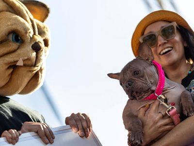 Lucu Banget, Anjing-Anjing Terjelek Adu Gaya di California