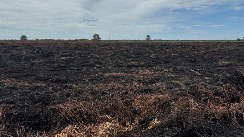 Menhut Sebut Angka Karhutla Turun, Ingatkan Riau dan Kalsel