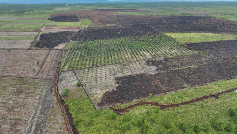 Potret Udara 100 Ha Lahan di Bengkalis Usai Dibakar 2 Tersangka