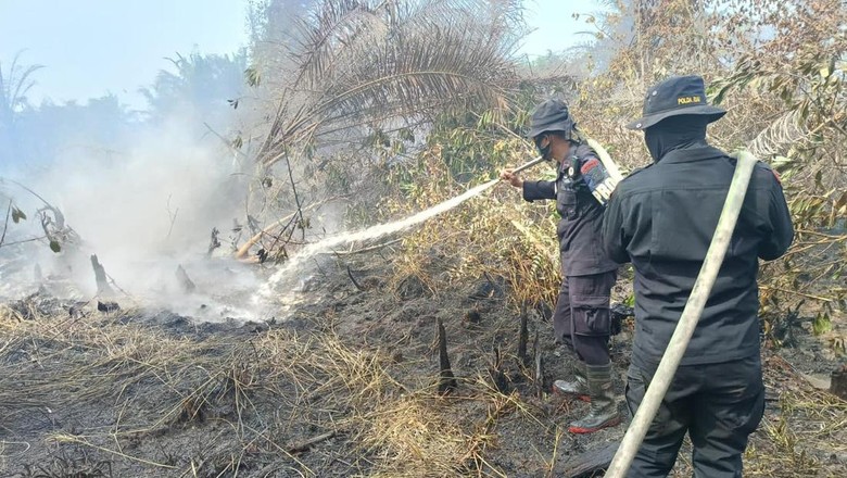 Momen Perjuangan Iptu Donald 'Pahlawan Karhutla' Lawan Kebakaran di Riau