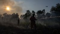Api Hanguskan 5 Hektare Lahan di Ogan Ilir