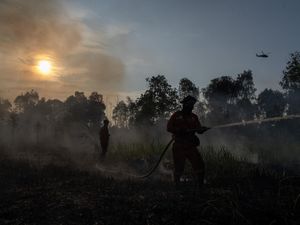 Api Hanguskan 5 Hektare Lahan di Ogan Ilir Api Hanguskan 5 Hektare Lahan di Ogan Ilir