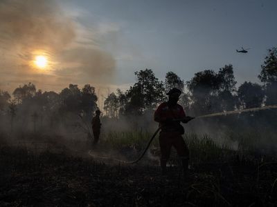 Api Hanguskan 5 Hektare Lahan di Ogan Ilir