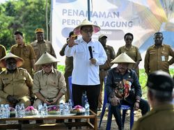 Kopdes Merah Putih di Papua Tengah Sudah 100%, Budi Arie: Wujud Komitmen