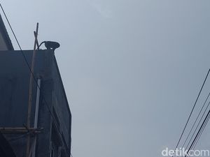 Monyet Jumbo Nangkring di Atap Rumah Bikin Resah Warga Kota Cimahi