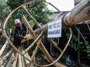 Pohon Panjat Pinang di Tangerang Laris Manis Jelang HUT RI
