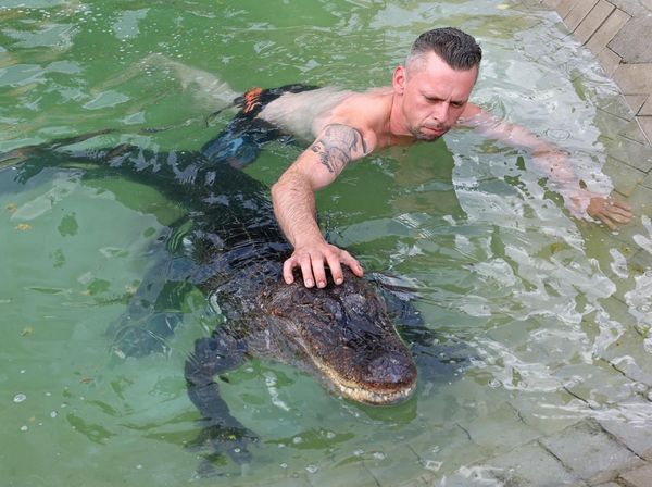 Potret Pertemanan Unik Pria Jerman dengan Aligator Selama 30 Tahun