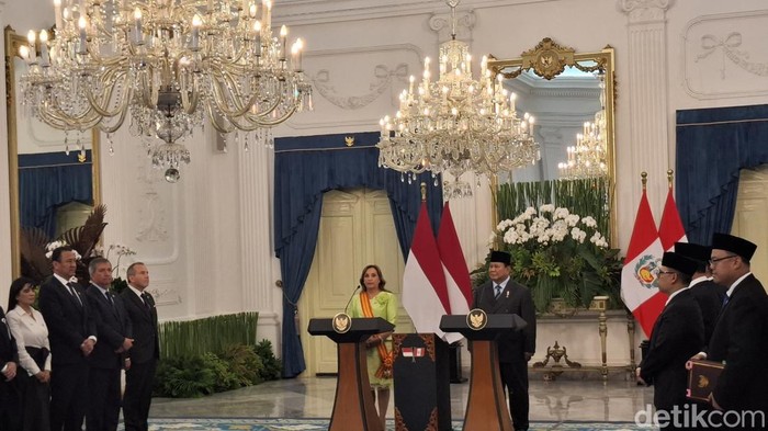 Prabowo Apresiasi Dukungan Peru untuk Palestina, Langkah Penting Menuju Perdamaian?