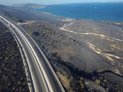 Foto Udara Dampak Kebakaran Hutan di Turki