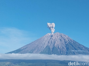 Gunung Semeru Erupsi 2 Kali Pagi Ini, Luncurkan Abu 1.000 Meter Gunung Semeru Erupsi 2 Kali Pagi Ini, Luncurkan Abu 1.000 Meter