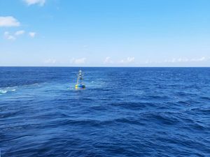 Tim Pengangkat Bangkai KMP Tunu Survei Lokasi Titik Tenggelam Tim Pengangkat Bangkai KMP Tunu Survei Lokasi Titik Tenggelam