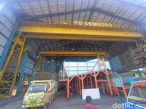 Tak Laku, 8.500 Ton Gula Menumpuk di Gudang PG Semboro Jember Tak Laku, 8.500 Ton Gula Menumpuk di Gudang PG Semboro Jember