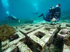 Jurus Harita Nickel Kebut Restorasi Terumbu Karang di Pulau Obi