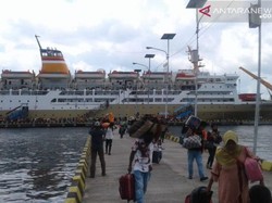 Diskon Tiket Kapal PELNI Nataru, Cek Syarat dan Simulai Tarifnya!