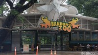 Faunaland Sah Jadi Pengelola Bandung Zoo, Wajib Bayar Rp 4,3 M ke Pemkot