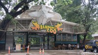 Pemkot Minta Bandung Zoo Dikosongkan Buntut Polemik Dualisme Pengelola