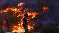Warga Turki Berjuang Padamkan Kebakaran Hutan di Canakkale