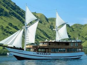 Backpacker Wajib Coba! Tour Labuan Bajo Mulai Rp 1,5 Juta Saja