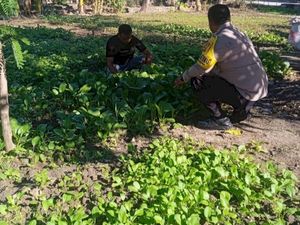 Kisah Bripka Marchel Serahkan Lahan Pertanian untuk Digarap 5 Warga Kisah Bripka Marchel Serahkan Lahan Pertanian untuk Digarap 5 Warga