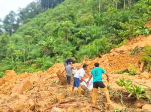 Jalan Trans Kaltara Tertimbun Longsor, Akses Roda 4 Putus Total