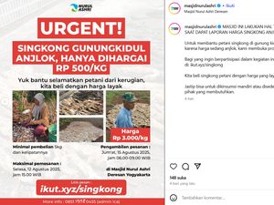 Masjid Nurul Ashri Jogja Borong 15 Ton Singkong dari Petani Saat Harga Anjlok Masjid Nurul Ashri Jogja Borong 15 Ton Singkong dari Petani Saat Harga Anjlok
