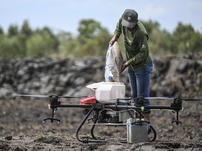 Makin Canggih! Petani Kalsel Manfaatkan Drone untuk Tanam Padi