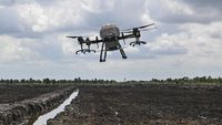 Keren, Petani di Kalsel Tanam Padi Gunakan Drone