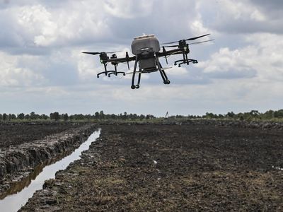 Keren, Petani di Kalsel Tanam Padi Gunakan Drone