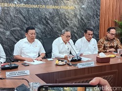 Pemerintah Tunggu Restu Prabowo Hapus Kualitas Beras Premium-Medium
