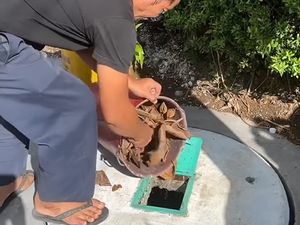 Teba Modern, Lubang Ajaib Pengurai Sampah di Bali Teba Modern, Lubang Ajaib Pengurai Sampah di Bali