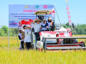 Wagub Sulsel & Titiek Soeharto Panen Raya di Maros, Capai 9 Ton/Hektare