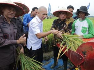 Mendes Apresiasi Kolaborasi Kejaksaan-Petani Wujudkan Swasembada Pangan Mendes Apresiasi Kolaborasi Kejaksaan-Petani Wujudkan Swasembada Pangan