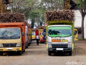 BUMN Pangan Beli 121 Ribu Ton Gula Petani, Telan Dana Rp 1,75 T BUMN Pangan Beli 121 Ribu Ton Gula Petani, Telan Dana Rp 1,75 T