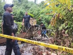 Brimob Gerebek Tambang Emas Ilegal di Kawasan Hutan Lindung Pasangkayu