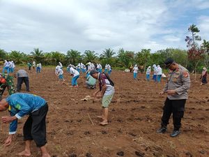 Mahasiswa KKN dan Polisi Tanam Jagung di Rohul, Dukung Ketahanan Pangan
