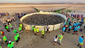 Spanyol Hidupkan Lagi Acara Pemasangan Cincin Anak Flamingo