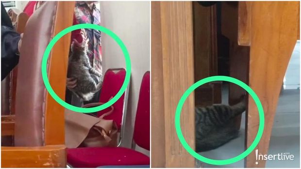 Tamu Tak Diundang Hadir di Persidangan Nikita Mirzani