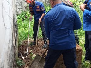 Ular Kobra Berkeliaran di Rumah Warga Lebak, Damkar Evakuasi Ular Kobra Berkeliaran di Rumah Warga Lebak, Damkar Evakuasi