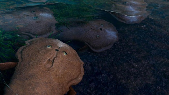 Terungkap! Fosil Purba Ubah Pemahaman Kita Soal Evolusi Ikan