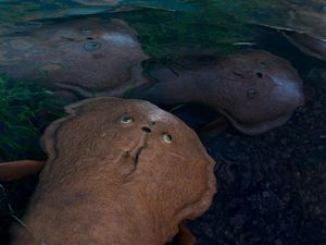 Ilmuwan Temukan Fosil Ikan Aneh Berusia 400 Juta Tahun, Tak Punya Rahang Ilmuwan Temukan Fosil Ikan Aneh Berusia 400 Juta Tahun, Tak Punya Rahang