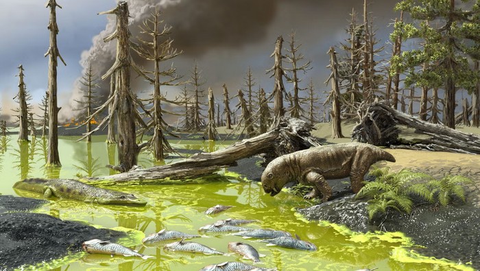 Rahasia Bertahan Ekosistem Laut Saat Dinosaurus Lenyap Akibat Asteroid