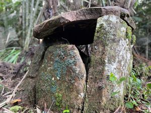 Kuburan Batu di Rimba Krayan yang Pernah Jadi Sasaran Pencurian Kuburan Batu di Rimba Krayan yang Pernah Jadi Sasaran Pencurian